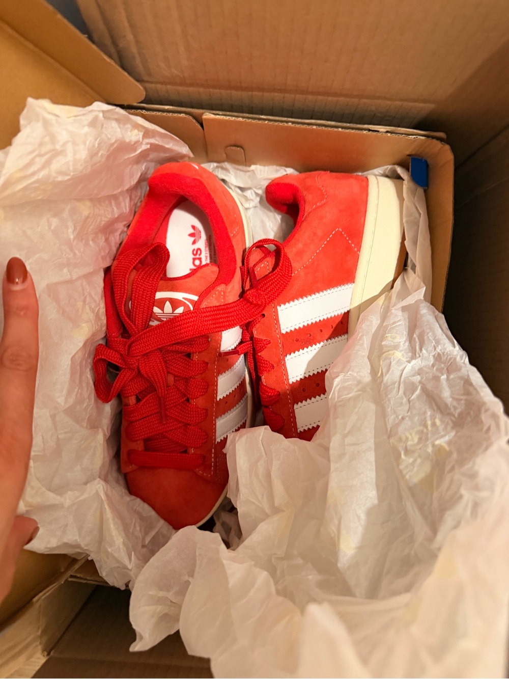 Adidas Campus 00s Scarlette Gum
